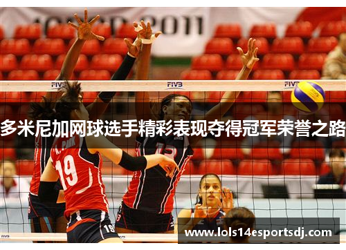 多米尼加网球选手精彩表现夺得冠军荣誉之路