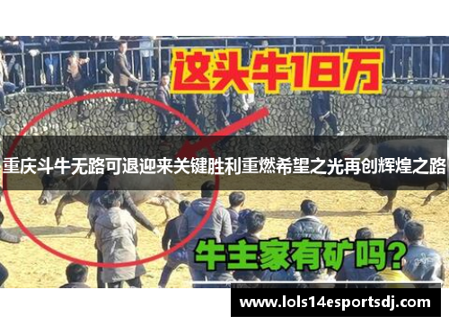 重庆斗牛无路可退迎来关键胜利重燃希望之光再创辉煌之路