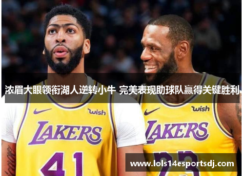 浓眉大眼领衔湖人逆转小牛 完美表现助球队赢得关键胜利