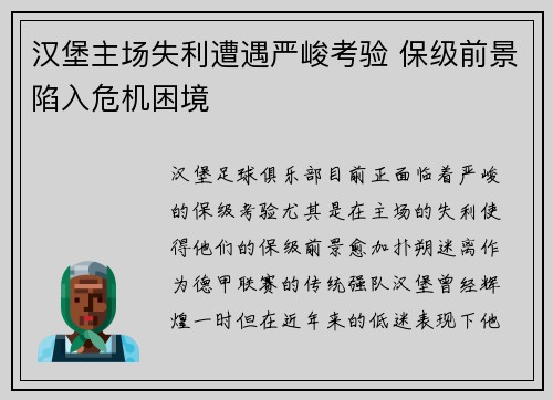 汉堡主场失利遭遇严峻考验 保级前景陷入危机困境