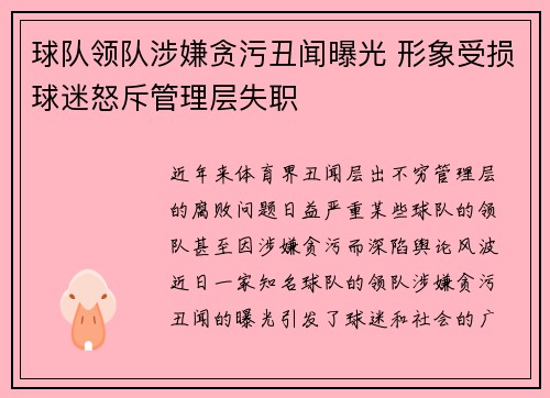 球队领队涉嫌贪污丑闻曝光 形象受损球迷怒斥管理层失职